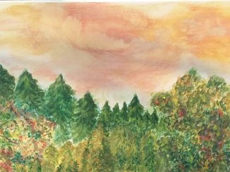 fot. Agnieszka Niestrój